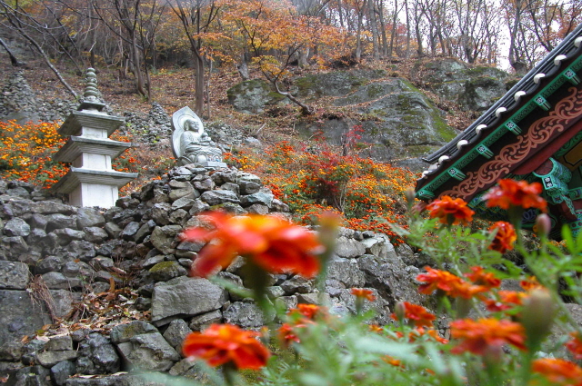 청량사